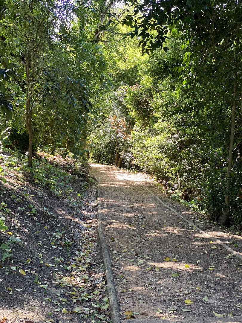 Mata dos Sete Montes