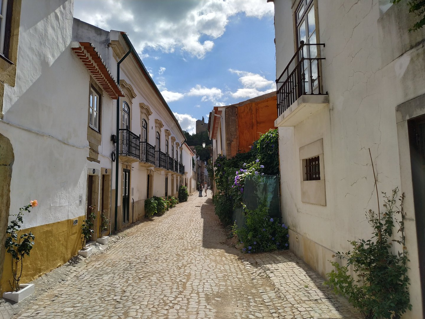 Encantadora calle en el centro histórico de Tomar, con casas tradicionales y flores en los balcones.